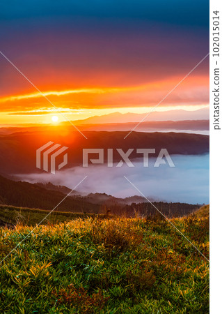 Daikanbo's Sea of Clouds and Autumn Leaves Sunrise [Aso City, Kumamoto Prefecture] 102015014