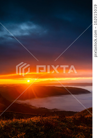 Daikanbo's Sea of Clouds and Autumn Leaves Sunrise [Aso City, Kumamoto Prefecture] 102015019