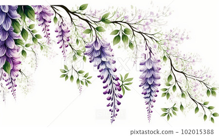 紫藤花水彩畫 102015388