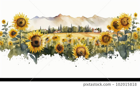 向日葵（向日葵）花水彩畫 102015818