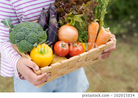 Hand photo of a girl holding vegetables 102015834