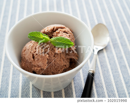 Chocolate ice cream with mint leaves 102015998