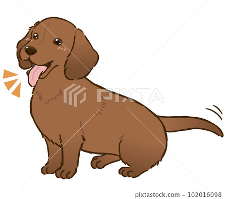 Happy Dachshund (smooth coat, red) Happy Dachshund (smooth coat, red) 102016098