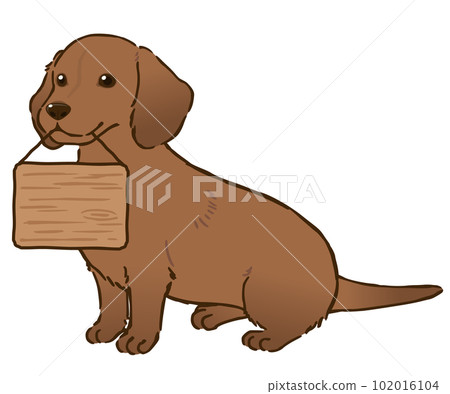 Dachshund holding a signboard (smooth coat, red) Dachshund holding a signboard (smooth coat, red) 102016104