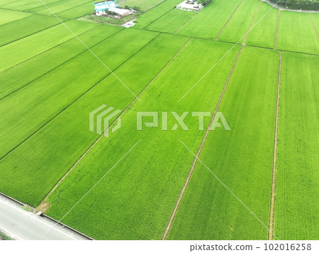 Lanyang Plain 102016258