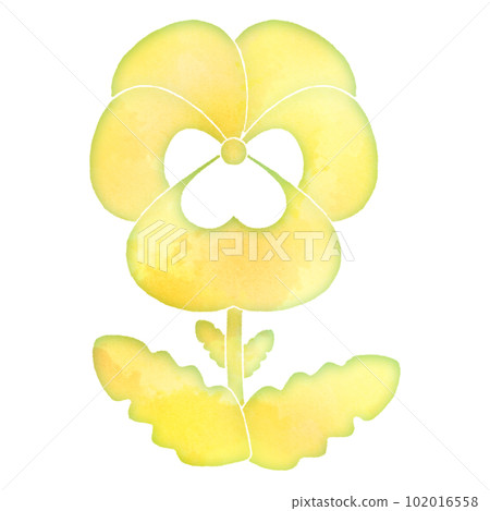 Pansy flower flower watercolor icon gentle ecology Pansy flower flower watercolor icon gentle ecology 102016558