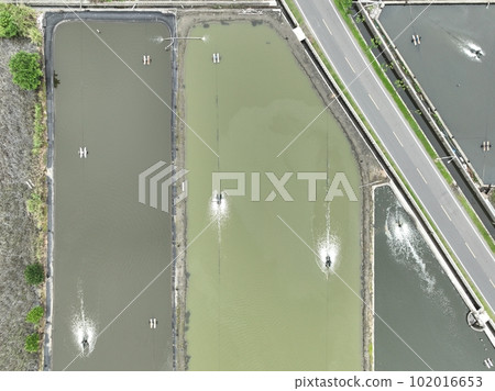 魚塭 魚塭 102016653