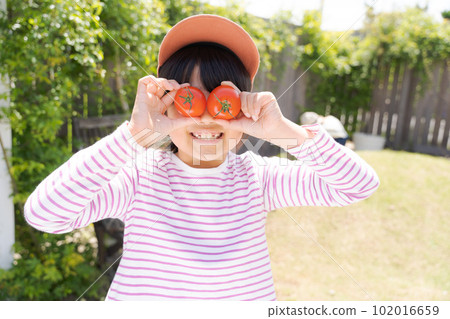 photo of girl with vegetables photo of girl with vegetables 102016659
