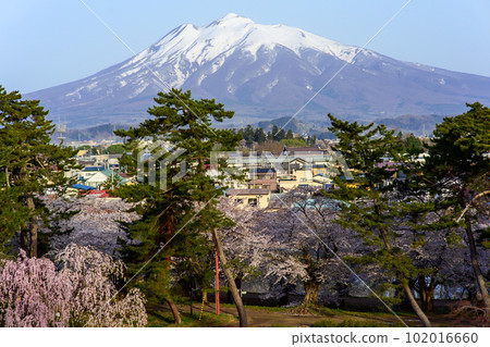 A refreshing spring morning, overlooking Mt. Iwaki from the main enclosure of Hirosaki Castle, Aomori Prefecture A refreshing spring morning, overlooking Mt. Iwaki from the main enclosure of Hirosaki Castle, Aomori Prefecture 102016660