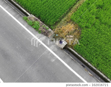 蘭陽平原 102016721