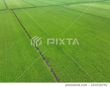 蘭陽平原 102016742