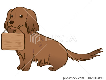Dachshund holding a signboard (long coat, red) 102016890