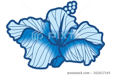 芙蓉插圖主線和淺藍色矢量數據芙蓉 102017145