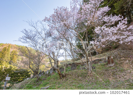 Japan's oldest dosojin [Sawasoko, Tatsuno-cho, Kamiina-gun] 102017461