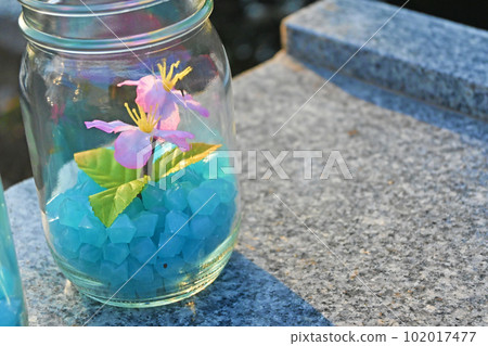 植物標本館風格可愛的內飾 植物標本館風格可愛的內飾 102017477