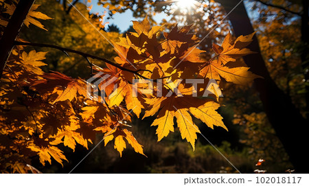 Sunlight and autumn leaves (AI image) 102018117