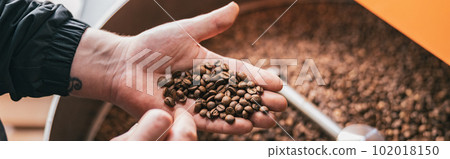 Male master checks the quality of roasting coffee beans on small factory. Close-up 102018150