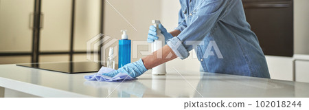 Happy mature woman in rubber gloves smiling at camera, using detergent spray and cloth while cleaning surface in the kitchen 102018244