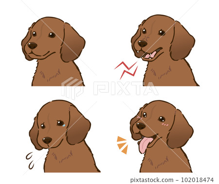 臘腸犬情緒套裝(光滑的外套,紅色) 臘腸犬情緒套裝(光滑的外套,紅色) 102018474