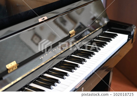 Piano practice 102018725