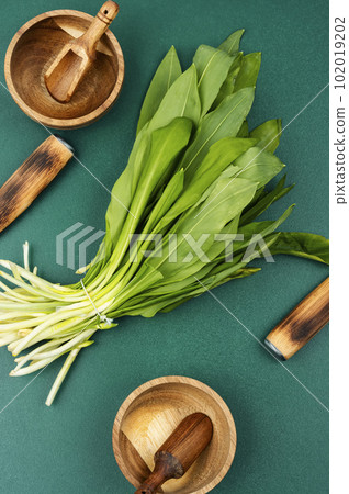 Ramson, bunch of wild garlic Ramson, bunch of wild garlic 102019202
