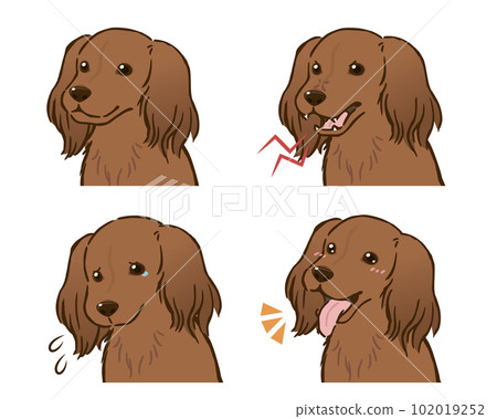 臘腸犬情感套裝(長大衣,紅色) 臘腸犬情感套裝(長大衣,紅色) 102019252