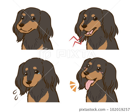 Dachshund emotions set (long coat, black tongue) Dachshund emotions set (long coat, black tongue) 102019257