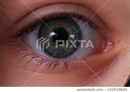 detail of human eye detail of human eye 102019604