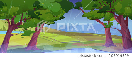 Summer rainy landscape with farm fields, forest 102019859