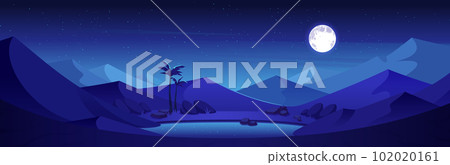 Night in sandy desert with dunes and oasis lake 102020161