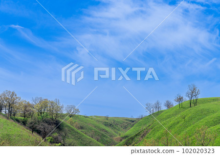 "Kumamoto Prefecture" Aso landscape, grassland, hill, fresh green, bank 102020323