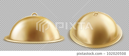 3d isolated gold food tray, plate lid cover vector 102020508