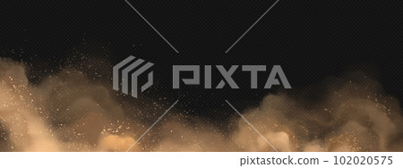 Realistic cloud of brown dust on transparent Realistic cloud of brown dust on transparent 102020575