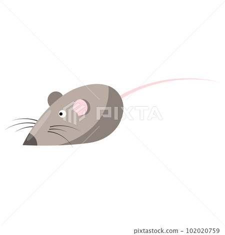 Mouse is a toy for animals, a toy for a cat. vector illustration on a white background 102020759