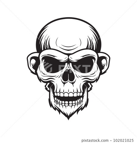 monkey with human skull, vector concept digital art ,hand drawn illustration 102021025