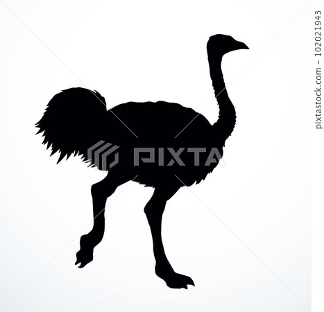 Vector drawing. Ostrich in the steppe Vector drawing. Ostrich in the steppe 102021943