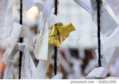 Omikuji at Tanashi Shrine [Image of Japan] 102022480