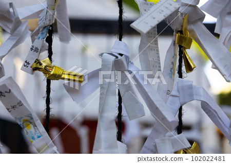Omikuji at Tanashi Shrine [Image of Japan] 102022481