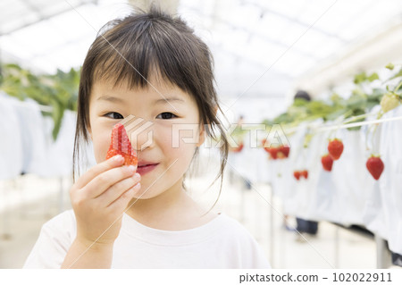享受草莓狩獵的女孩 享受草莓狩獵的女孩 102022911