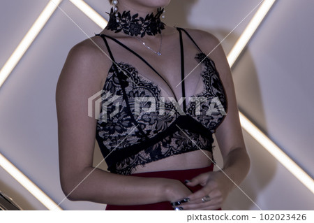 穿著內衣的女人的大乳房 102023426