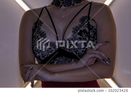 巨乳女模特內衣雙臂交叉於胸前 巨乳女模特內衣雙臂交叉於胸前 102023428