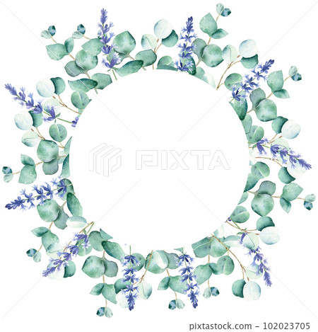 Watercolor eucalyptus and lavender branches circle frame isolated on white background. Hand drawn botanical illustration. For wedding invitations, save the date, greeting card, logos, prints. Watercolor eucalyptus and lavender branches circle frame isolated on white background. Hand drawn botanical illustration. For wedding invitations, save the date, greeting card, logos, prints. 102023705