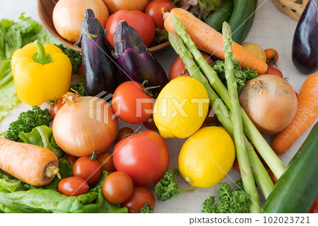 各種蔬菜的照片 102023721