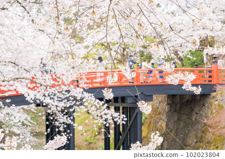 Gejo Bridge and cherry blossoms at Hirosaki Castle Park 102023804