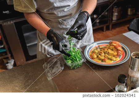 Professional chef is decorating ready meal with greens on restaurant kitchen 102024341