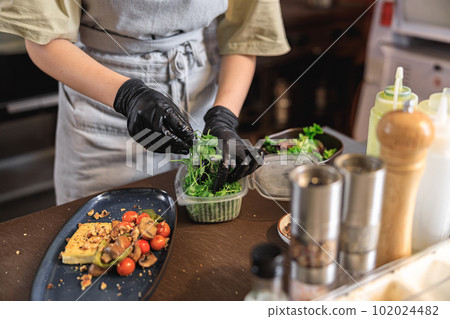 Professional chef is decorating ready meal with greens on restaurant kitchen 102024482