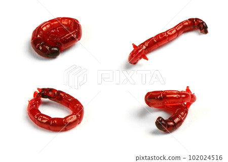 One larva bloodworm, bait for fishing, isolated on white background. Bloodworm close-up. Nozzle for fishing. Extremal close-up. Side view. One larva bloodworm, bait for fishing, isolated on white background. Bloodworm close-up. Nozzle for fishing. Extremal close-up. Side view. 102024516