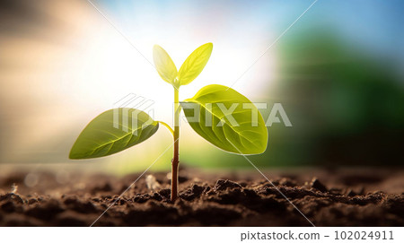 New beginnings: Young sprout basking in the sun's warm glow. created with Generative AI 102024911