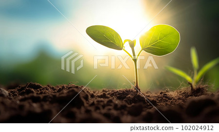 New beginnings: Young sprout basking in the sun's warm glow. created with Generative AI 102024912