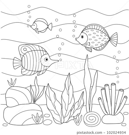 Kids coloring book with underwater world of fish algae. Black outline sketch with simple shapes. 102024934